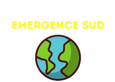 ASSOCIATION EMERGENCE SUD
